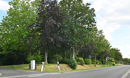 Sommerfest gegen&uuml;ber der Tagespflege Haus Margret auf der Wiese
